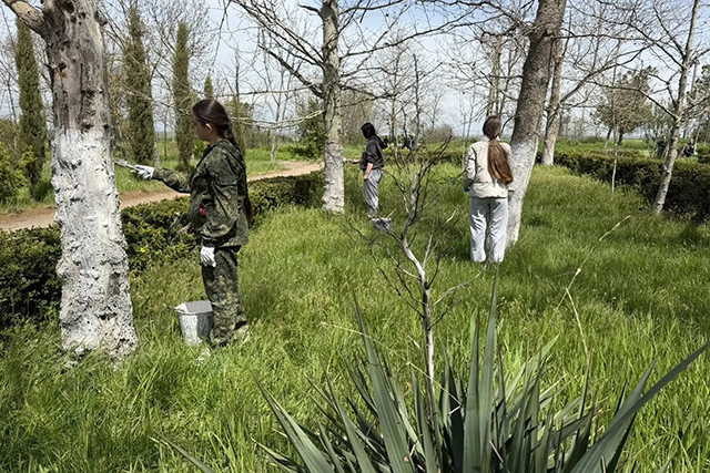 Мы за чистоту!